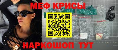 молекула духа Кингисепп