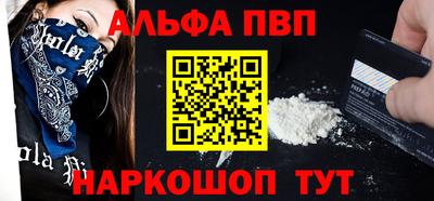 молекула духа Кингисепп