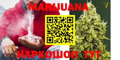 молекула духа Кингисепп