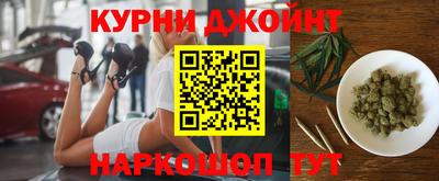 молекула духа Кингисепп