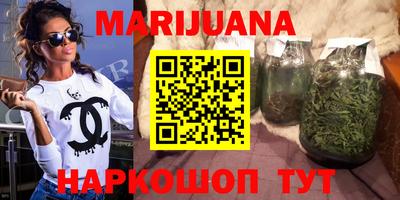 молекула духа Кингисепп