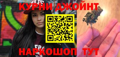 молекула духа Кингисепп