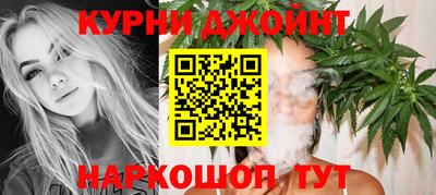 молекула духа Кингисепп
