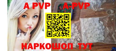 молекула духа Кингисепп