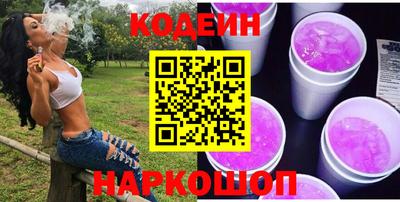 молекула духа Кингисепп