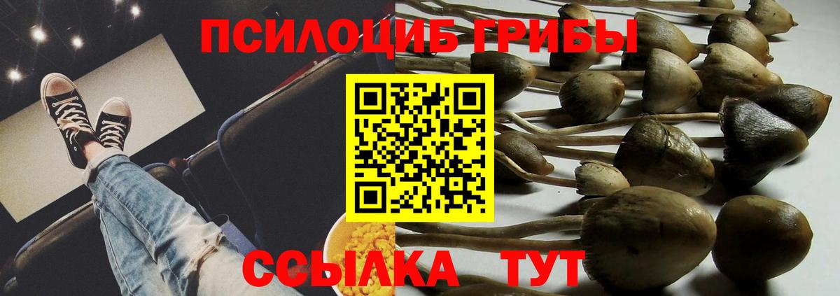 Галлюциногенные грибы мицелий Еманжелинск