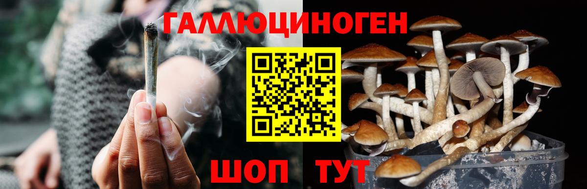 продажа наркотиков  Галлюциногенные грибы Psilocybine cubensis  Вход с VPN  Еманжелинск 